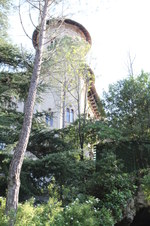 Enlarge photo 11