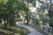 Enlarge photo 10