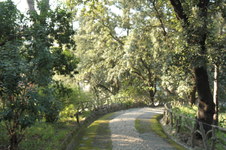 Enlarge photo 12
