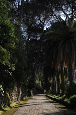Enlarge photo 22