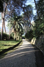Enlarge photo 26