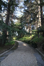Enlarge photo 24