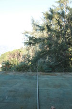 Enlarge photo 30