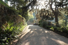 Enlarge photo 32
