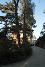 Enlarge photo 31