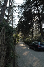 Enlarge photo 35