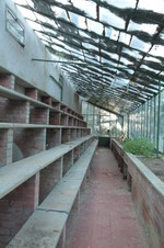 Enlarge photo 33