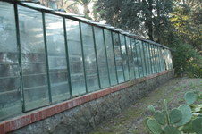 Enlarge photo 37