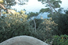 Enlarge photo 39
