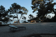 Enlarge photo 40