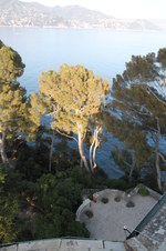 Enlarge photo 67