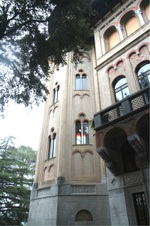 Enlarge photo 61