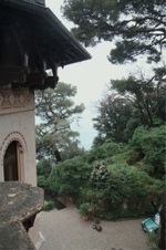 Enlarge photo 60