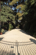 Enlarge photo 64