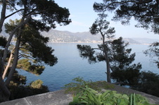 Enlarge photo 67