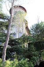 Enlarge photo 62