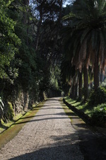 Enlarge photo 70