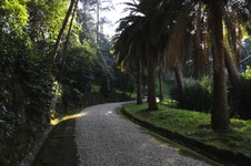 Enlarge photo 71