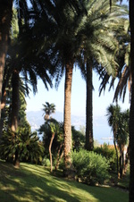 Enlarge photo 6