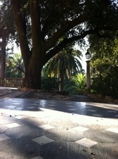 Enlarge photo 26