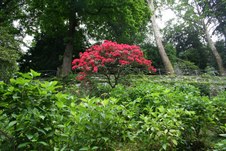 Enlarge photo 10