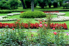 Enlarge photo 26