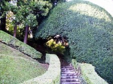 Enlarge photo 4