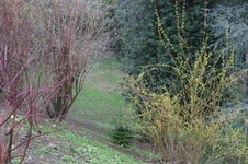 Enlarge photo 16