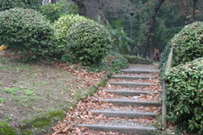 Enlarge photo 17
