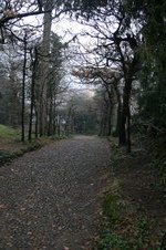 Enlarge photo 18