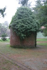 Enlarge photo 22