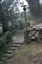 Enlarge photo 24