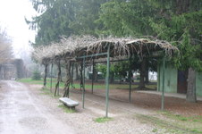 Enlarge photo 25