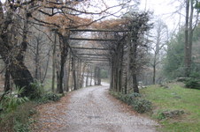 Enlarge photo 26