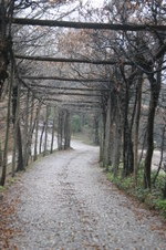 Enlarge photo 27