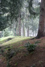 Enlarge photo 38