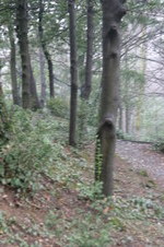 Enlarge photo 39