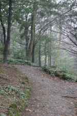 Enlarge photo 40