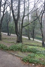Enlarge photo 41