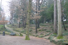Enlarge photo 42