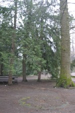 Enlarge photo 43