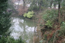 Enlarge photo 45