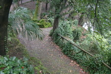 Enlarge photo 47