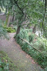 Enlarge photo 48