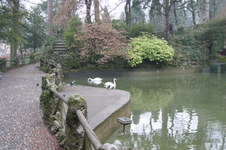 Enlarge photo 49