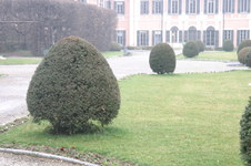 Enlarge photo 51