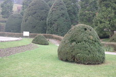 Enlarge photo 52