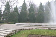 Enlarge photo 53
