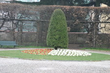 Enlarge photo 61