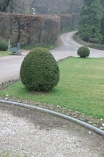 Enlarge photo 62